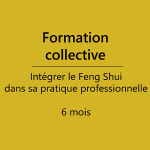Intégrer le Feng Shui dans sa pratique professionnelle