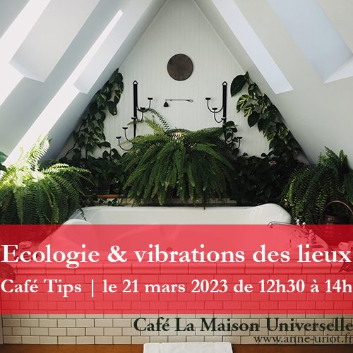 cafe tips Ecologie & vibrations des Lieux